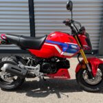 Honda MSX 125 GROM / AKTION "GOLDEN SUMMER"